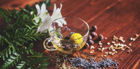 There’s No Need to Fear Herbal Medicine
