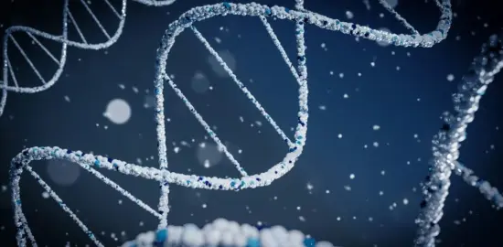 From Gift to Product: The Logic of IVF, Abortion, Eugenics, and Transhumanism