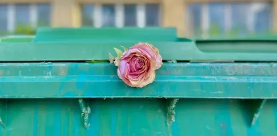 From Gift to Disposal: Euthanasia, Suicide, and the Christian Meaning of Life
