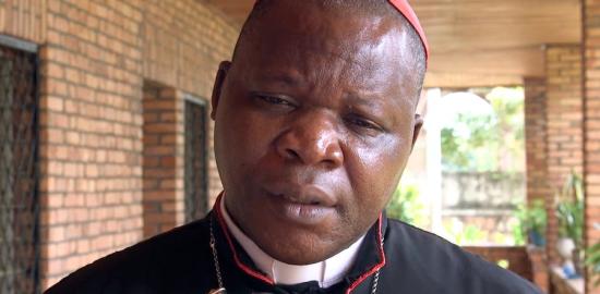 Why did Cardinal Nzapalainga meet Leo XIV?