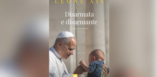 Pope Leo XIV urges peace and nuclear disarmament in new book foreword